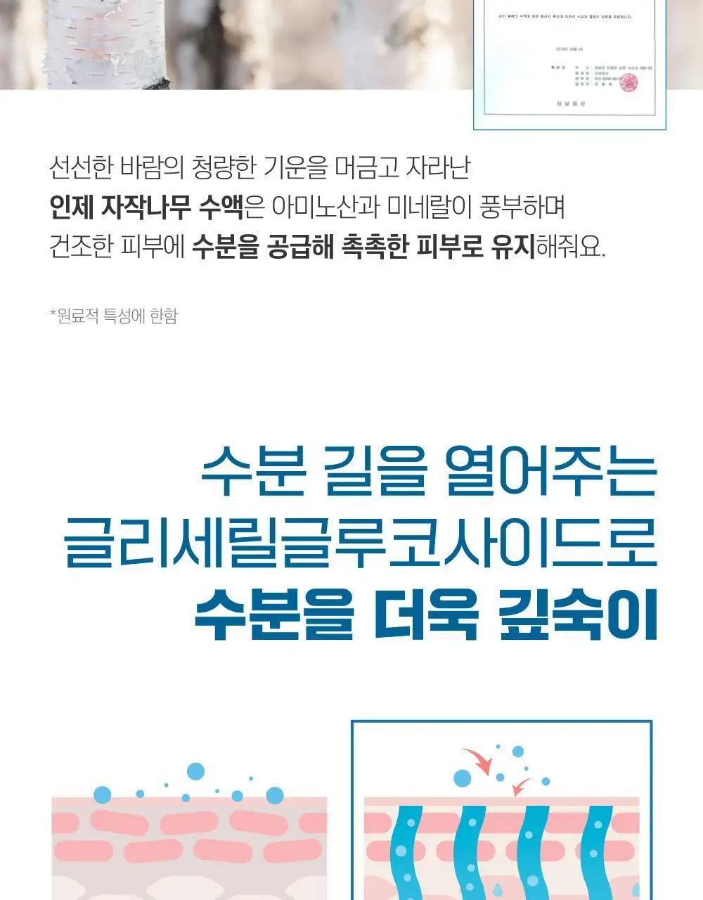 [청량보습] 라운드랩 포 맨 자작나무 토너/크림 2종 기획 (+쉐이빙폼 40ml) 상세페이지 29
